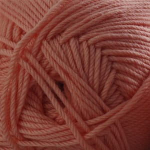 220 Superwash Merino 101 Desert Flower