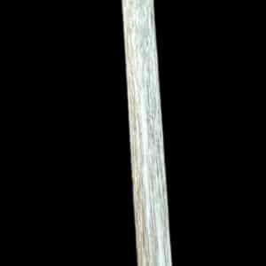 Tunisian IC Crochet Hook US G6 4.00mm