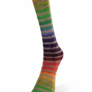 Paint Sock Rainbow