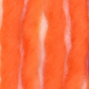 Young and Trendy Solid Orange